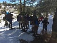 IMG 4551