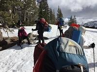 IMG 4636