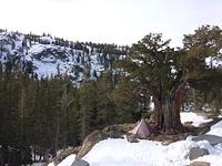 IMG 9612