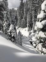 IMG 0308