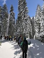 IMG 0331
