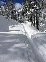 IMG 9683