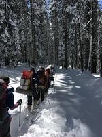 IMG 9696