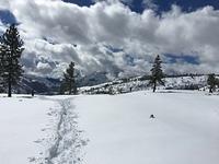 IMG 9699