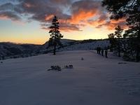 IMG 9728