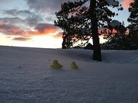 IMG 9742