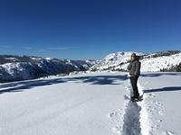 IMG 9769