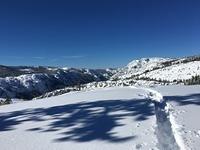 IMG 9774
