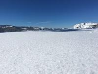 IMG 9776