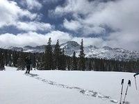 IMG 3281