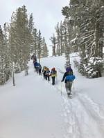 IMG 0689