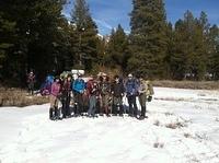 Group 6