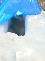 IMG 1254