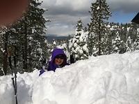 IMG 1325