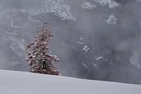DSC00060