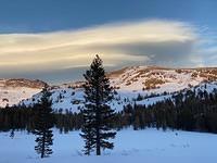 IMG 2795D