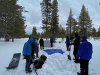 IMG 2810