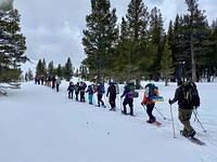 IMG 2820