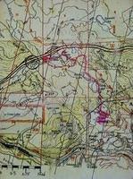 IMG 3974
