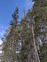 IMG 20200209 115714