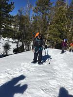 IMG 3715