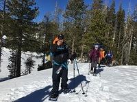 IMG 3718