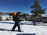 IMG 3725