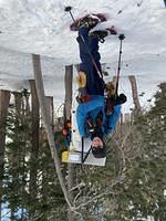IMG 7531