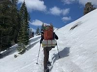 IMG 7549