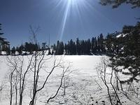 IMG 7126