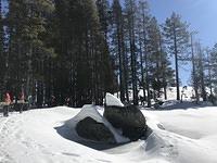 IMG 7129