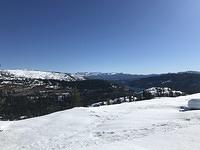 IMG 7133