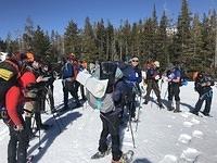 IMG 7134