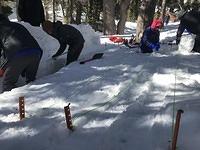 IMG 7163