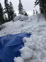 IMG 7219