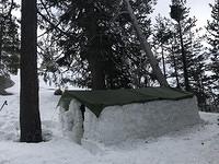 IMG 7236