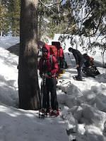IMG 7241