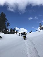 IMG 7244