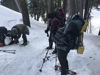 IMG 7250