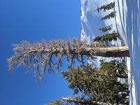 IMG 20200223 152229