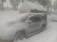 buried car IMG 3817
